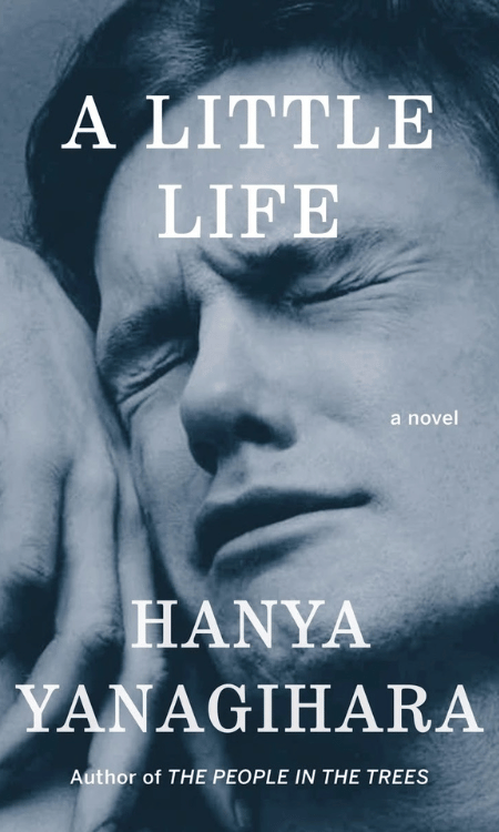 A Little Life Book cover