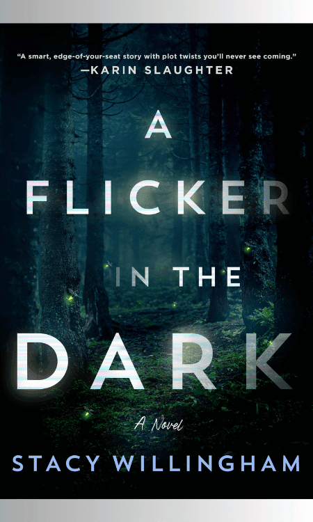 A Flicker in the Dark book cover